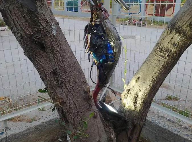 Olea House Σπίτι διακοπών *