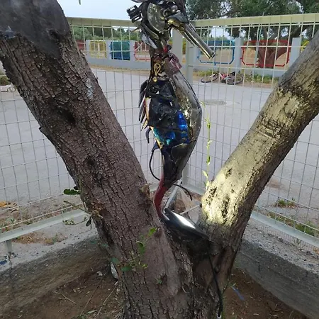 Olea House بيت للعطل *