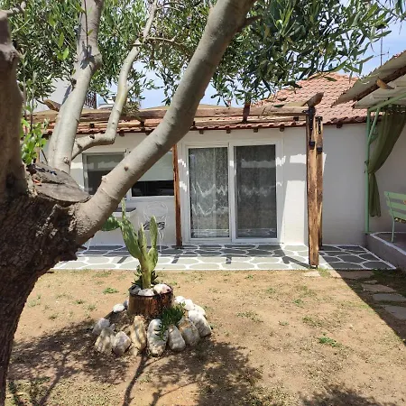 Olea House