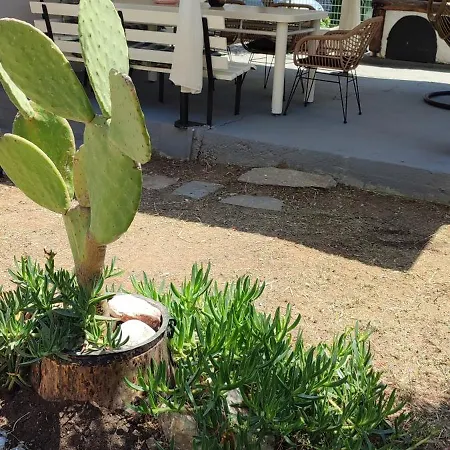 Olea House